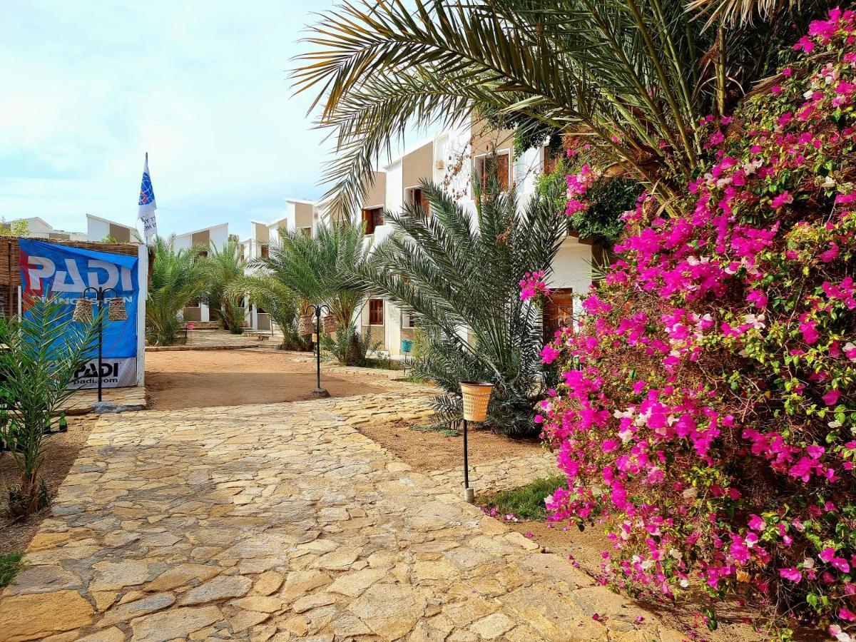 Jowhara Hotel Dahab Exterior photo