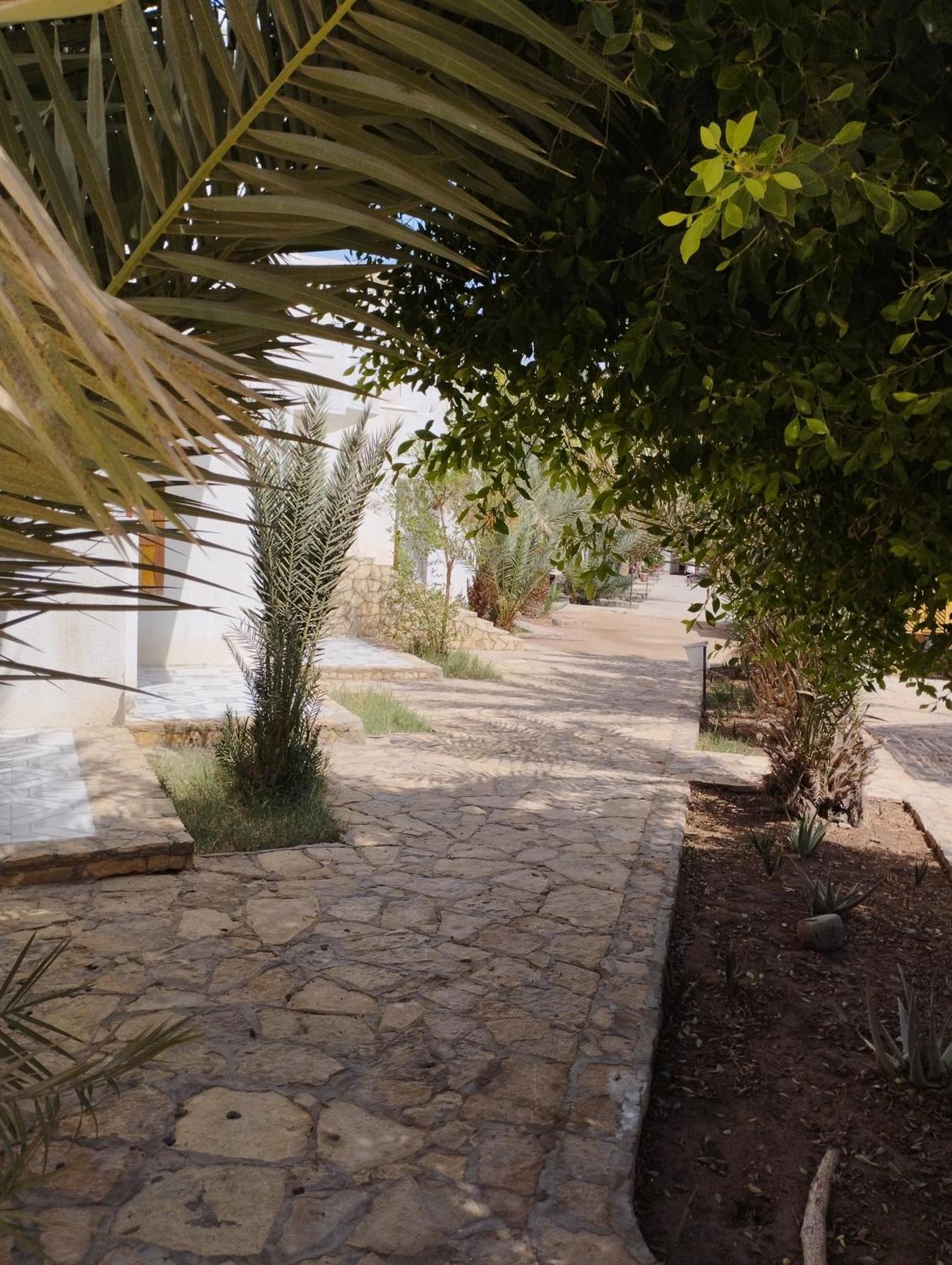 Jowhara Hotel Dahab Exterior photo